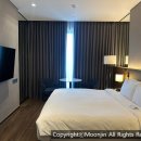 수원시 팔달구 효원로 | 수원 숙소 포포인츠 바이 쉐라톤 수원 호캉스 더블룸 조식 내돈내산 후기