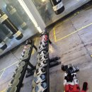 토마토 복싱클럽 이미지