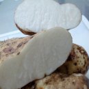 이솝한의원 이미지