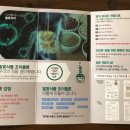 조아장 이미지