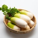 ‘인삼보다 낫다’던 가을 무…목이 칼칼한 환절기엔 이렇게 드세요 [FOOD+] 이미지