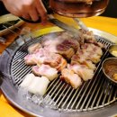 조이박꽃도새기 이미지