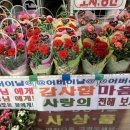 DC종합생활용품