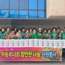 마동-13 이미지
