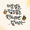 더레더백토리 | ♥추석특집1탄♥구경오세요~~~