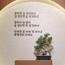 태풍참치 이미지