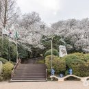 아랫장약국 티스토리
