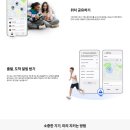 네이처컬렉션공주