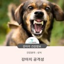 청학동물병원 이미지