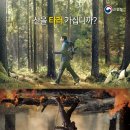 2026년 / 산불 조심 입산 통제 구간 &amp; 기간 이미지