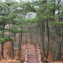 청송자연휴양림 이미지