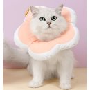 요요플라워 이미지