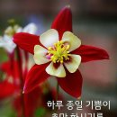 바이올렛 이미지