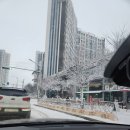 바래봉길 | 남원 지리산 바래봉 등산코스 초보 겨울산행 후기 소요시간