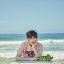 박**-14 이미지