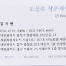 도심속에작은야생화 이미지
