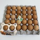 전북계란영농조합 이미지