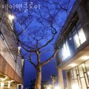 제이앤클로이 | 제주도펜션 제이앤클로이 제주도여행 저렴하게 즐길 수 있는 숙소추천