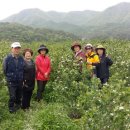 자연농원 이미지