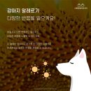 금릉동물의료센터 이미지