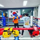 불스복싱 이미지