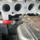 고아카센타 이미지