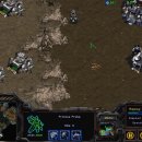 불독(bulldog) 이미지