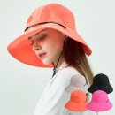 페르시안 캣 이미지