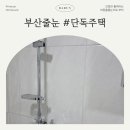 자연 애개 | 부산 금정구 주택 욕실 주방 아스팍샤인 무펄 줄눈 시공