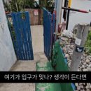 버디다이브캠프