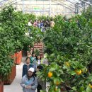 감귤박물관 이미지