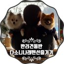 다소니 펜션 이미지