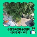 고덕 일반산업단지 | 부천 벌목업체 공장단지 내 나무 제거 후기
