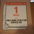 왕초보를 위한 부동산 경매의 기술 이미지