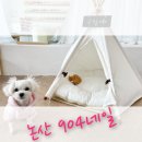 904네일