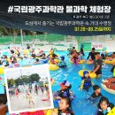썸킷 이미지