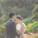 하나비결혼정보 이미지