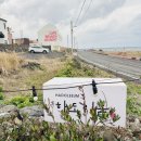 하도리움 제주독채 감성숙소 이미지