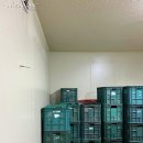 (주)와이즈 이미지