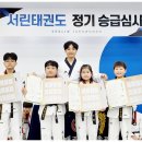 서린1태권도장 이미지