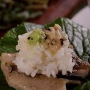 미순농장 | 한국인의밥상 철원 고추냉이 파는 곳 택배 주문 방법 전화번호, 생 와사비 농장 촬영지 장소 어디?