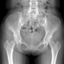 21세기우리의원 이미지