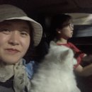 워너비제주 Daum카페