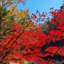 계곡힐링스카이 이미지