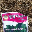동해종묘사 이미지