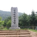 구룡령 옛길 이미지