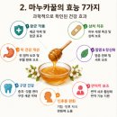마누카꿀의 효능 복용 용량 위염 영향 유통기한 추천 제품 top3