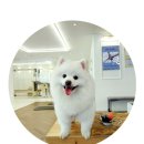 [공지] 휘턴필라테스 7월 오픈 기념특가 60%SALE/매천동 태전동 필라테스