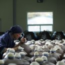 백경한의원 이미지