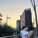 유르트